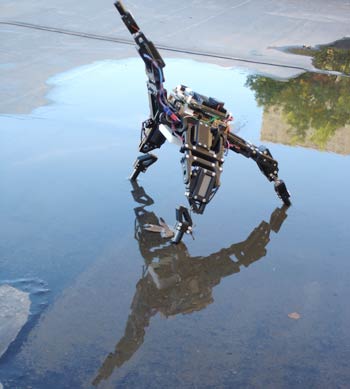 Robot tự phán đoán