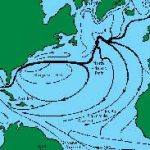 Dòng Gulf Stream, hệ thống sưởi khổng lồ của đại dương