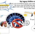Sự nguy hiểm của virus cúm gia cầm A/H7N9