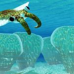 500 triệu năm trước, “ai” đã khiến Trái đất nóng lên toàn cầu?