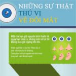 Những sự thật thú vị về mắt