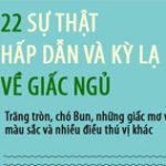 Những sự thật kỳ lạ và hấp dẫn về giấc ngủ