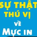 Sự thật mà bạn chưa biết về các loại mực trên thế giới