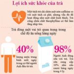 Sự thật thú vị về trà