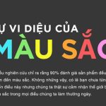 Sự vi diệu của màu sắc: Rất nhiều ý nghĩa và tác động tâm lý con người