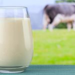 Tác dụng của sữa và những thời điểm tốt nhất nên uống sữa
