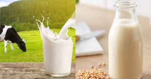 Sữa bò và sữa đậu nành: Đặt lên cân hai loại sữa được ưa chuộng, xem sữa nào nổi trội hơn