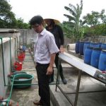 Sản xuất nước mắm bằng năng lượng mặt trời
