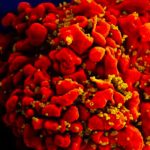 Bệnh nhân lớn tuổi nhất được chữa khỏi HIV