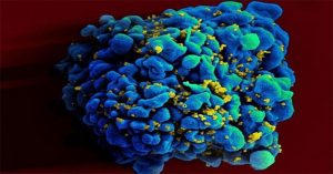 Vaccine mARN ngăn HIV cho kết quả tốt ở động vật