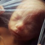 Khám phá chuyện tế nhị: Thai nhi tè, ị trong bụng mẹ như thế nào?