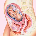 Phát hiện virus gây ung thư mới