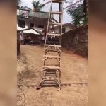 Kỳ lạ về hiện tượng “thang dạo phố” ở Ấn Độ