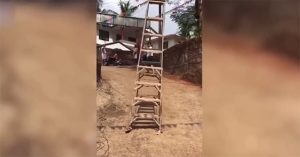 Kỳ lạ về hiện tượng “thang dạo phố” ở Ấn Độ