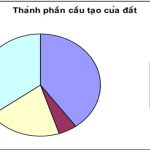 Đất là gì? Đất hình thành như thế nào?
