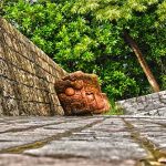Nhiều loài tuyệt chủng sống dậy ở “Thành phố của Thần Khỉ”
