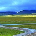 Thành phố nghìn năm không trồng nổi 1 cây xanh: Thưởng 1 tỷ cho ai “giải cứu” thành công