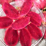 Tạo nhiều giống cây mới sản xuất đại trà ở phía Nam