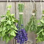 Hướng dẫn cách xông mũi, họng tại nhà