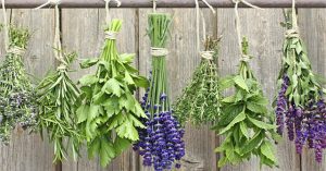 Hướng dẫn cách xông mũi, họng tại nhà