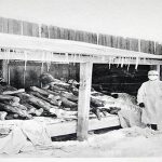Những thí nghiệm trên người ghê rợn nhất trong lịch sử