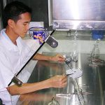 Phát hiện 50 ha thông đỏ ở Vườn Quốc gia Bidoup-Núi Bà