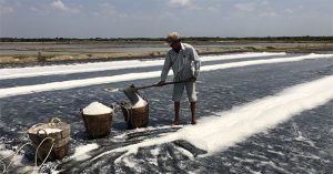 Công nghệ biến muối thô thành muối tinh