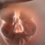 Cứ làm IVF là được thai đôi và có thể chọn giới tính thai nhi?