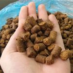 “Mục sở thị” công nghệ sản xuất thức ăn cho gia súc và cây trồng từ rơm, lá mía