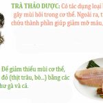 7 thực phẩm giúp giảm mùi hôi cơ thể