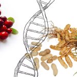 Phát hiện thêm các loài thực vật biến đổi gene tự nhiên