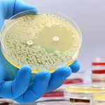 Tìm ra loại kháng sinh mới đầu tiên sau hơn 60 năm nhờ AI