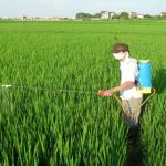 Sản xuất chế phẩm thuốc trừ sâu không độc hại