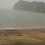 Thủy triều đỏ ở Hải Phòng