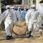 Biến thể H5N1 có thể lây sang người qua hô hấp