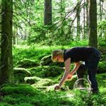 Mẹo tìm kiếm nước và thức ăn trong tình huống khẩn cấp