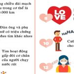 Những điều ít biết về tim người