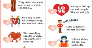 Những điều ít biết về tim người