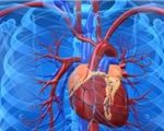 Tìm ra cách tái sinh số lượng tế bào cơ tim