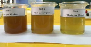 Hết sâu răng với nước súc miệng từ lá bàng non của học sinh Huế