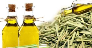 Tác dụng của tinh dầu sả và cách làm tinh dầu sả đơn giản tại nhà
