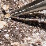 Phát hiện dấu vết sự sống trong hố thiên thạch 375 triệu năm