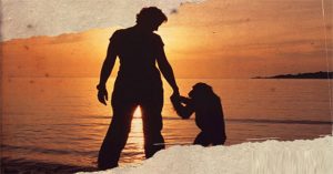 Câu chuyện đau lòng về Lucy, con tinh tinh đã tưởng mình là người