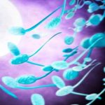 Tìm thấy gen vô sinh ở nam giới