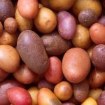 Chế độ ăn nhiều tinh bột đã giúp não lớn hơn?