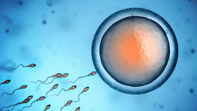Lọc rửa tinh trùng giúp bệnh nhân HIV sinh con khỏe mạnh