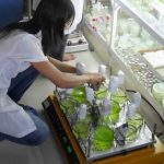 Mỗi năm, 85 nghìn tấn dầu mỡ, hóa chất, kim loại thải ra biển