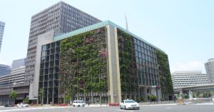 Tường cây – giải pháp làm xanh đô thị hiện đại