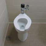 Tìm hiểu những sự thật giật mình về toilet khiến ai cũng bất ngờ