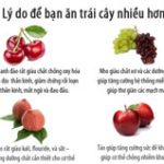 Lý do nên ăn nhiều trái cây